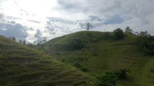 Load image into Gallery viewer, Bohol lot for sale 7.9 hectares clean title Inabanga Bohol 75/sqm
