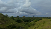 Load image into Gallery viewer, Bohol lot for sale 7.9 hectares clean title Inabanga Bohol 75/sqm