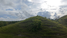 Load image into Gallery viewer, Bohol lot for sale 7.9 hectares clean title Inabanga Bohol 75/sqm