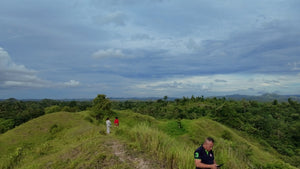 Bohol lot for sale 7.9 hectares clean title Inabanga Bohol 75/sqm