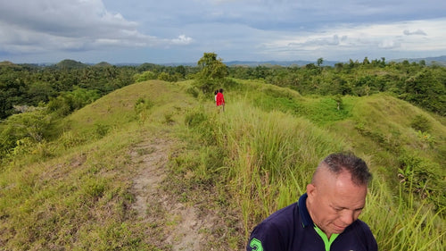 Bohol lot for sale 7.9 hectares clean title Inabanga Bohol 75/sqm