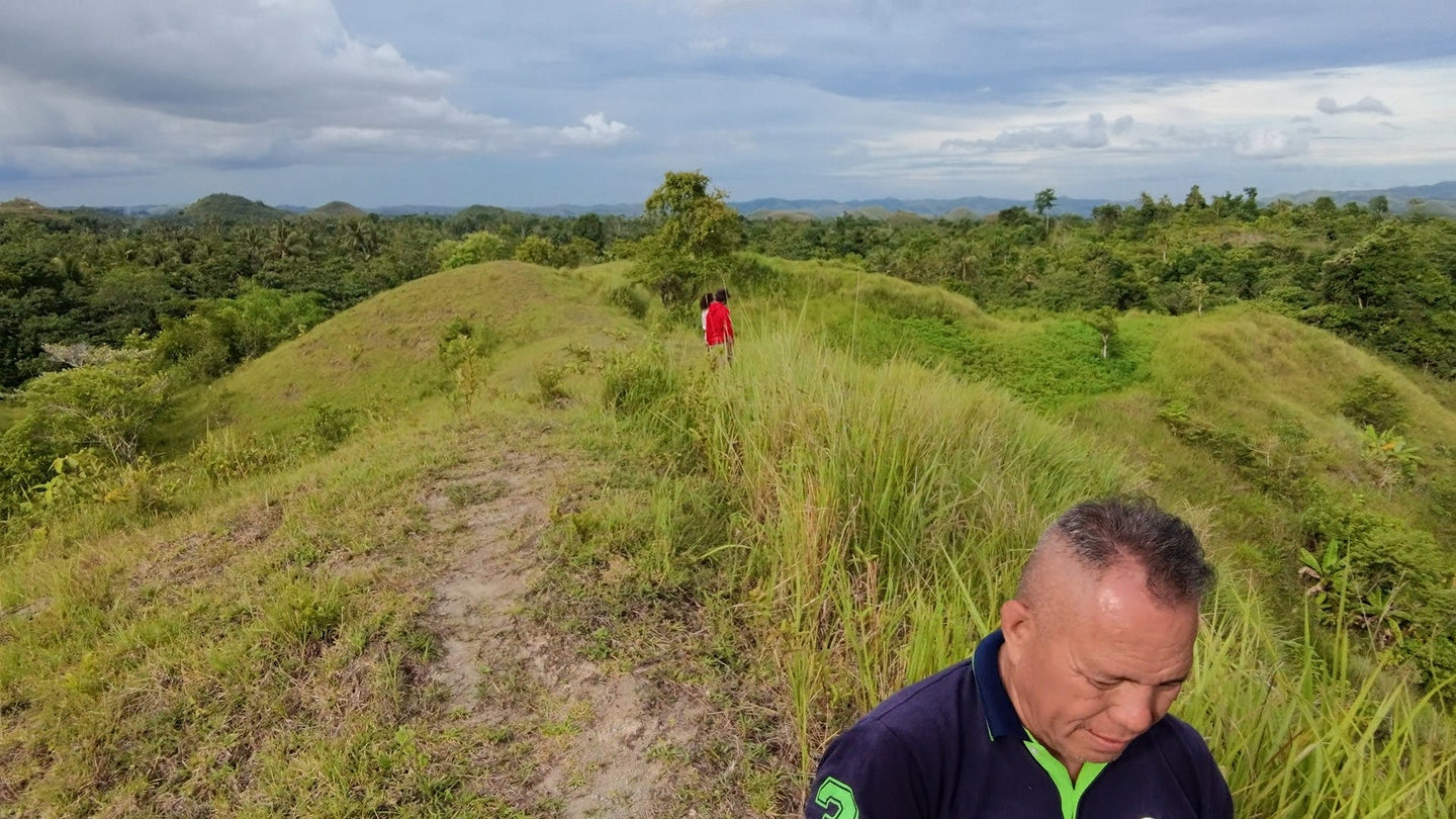 Bohol lot for sale 7.9 hectares clean title Inabanga Bohol 75/sqm