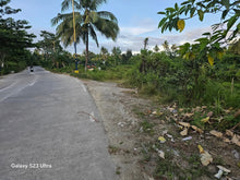 Load image into Gallery viewer, 📍 Lot for Sale – Aloguinsan, Cebu (Second Lot from Provincial Road)