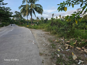 📍 Lot for Sale – Aloguinsan, Cebu (Second Lot from Provincial Road)