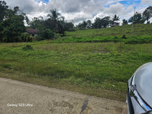 Load image into Gallery viewer, 5 hectares clean title  highway for sale in Carmen Bohol Philippines 5.5m net