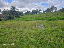 Load image into Gallery viewer, 5 hectares clean title  highway for sale in Carmen Bohol Philippines 5.5m net