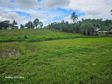 Load image into Gallery viewer, 5 hectares clean title  highway for sale in Carmen Bohol Philippines 5.5m net