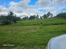 Load image into Gallery viewer, 5 hectares clean title  highway for sale in Carmen Bohol Philippines 5.5m net