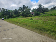 Load image into Gallery viewer, 5 hectares clean title  highway for sale in Carmen Bohol Philippines 5.5m net