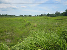 Load image into Gallery viewer, Bohol lot for sale 6,920 sqm clean title Talibon Bohol 250/sqm