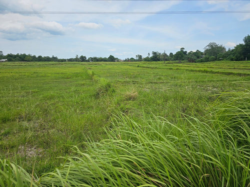 Bohol lot for sale 6,920 sqm clean title Talibon Bohol 250/sqm