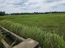 Load image into Gallery viewer, Bohol lot for sale 6,920 sqm clean title Talibon Bohol 250/sqm