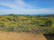 Load image into Gallery viewer, Bohol lot for sale 20,000 sqm with sea of clouds view Dagohoy Bohol 700/sqm negotiable