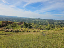 Load image into Gallery viewer, Bohol lot for sale 20,000 sqm with sea of clouds view Dagohoy Bohol 700/sqm negotiable