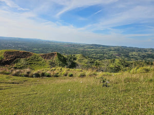 Bohol lot for sale 20,000 sqm with sea of clouds view Dagohoy Bohol 700/sqm negotiable