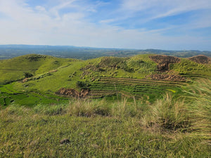 Bohol lot for sale 20,000 sqm with sea of clouds view Dagohoy Bohol 700/sqm negotiable