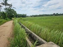 Load image into Gallery viewer, Bohol lot for sale 6,920 sqm clean title Talibon Bohol 250/sqm