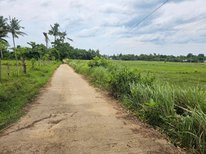 Bohol lot for sale 6,920 sqm clean title Talibon Bohol 250/sqm