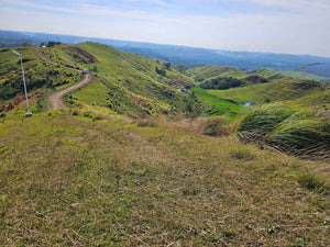 Bohol lot for sale 20,000 sqm with sea of clouds view Dagohoy Bohol 700/sqm negotiable