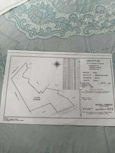 Load image into Gallery viewer, Bohol lot for sale 49,316 sqm clean title along river Dagohoy Bohol 60/sqm