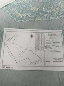 Bohol lot for sale 49,316 sqm clean title along river Dagohoy Bohol 60/sqm