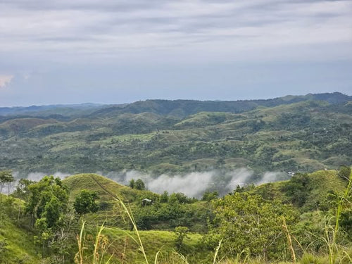 Bohol lot for sale 20,000 sqm with sea of clouds view Dagohoy Bohol 700/sqm negotiable
