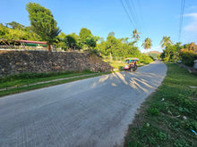 Load image into Gallery viewer, Bohol seaview lot for sale with residential house Ubay Bohol Philippines