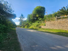 Load image into Gallery viewer, Bohol seaview lot for sale with residential house Ubay Bohol Philippines