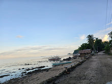 Load image into Gallery viewer, Bohol beach lot for sale 1.3hectares clean title Ubay Bohol Philipines