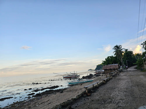 Bohol beach lot for sale 1.3hectares clean title Ubay Bohol Philipines