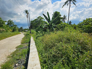Bohol lot for sale 11,000 sqm near Highway, school and airport Ubay Bohol
