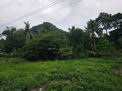 Lot for Sale – Pulang Bato, Cebu City, Philippines