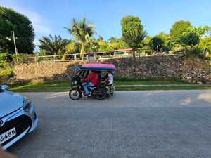 Bohol seaview lot for sale with residential house Ubay Bohol Philippines