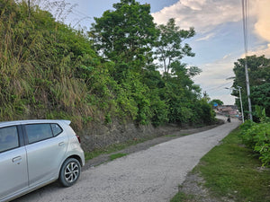 Bohol beach lot for sale 1.3hectares clean title Ubay Bohol Philipines
