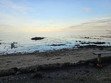 Load image into Gallery viewer, Bohol beach lot for sale 1.3hectares clean title Ubay Bohol Philipines