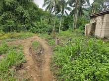Load image into Gallery viewer, 🌄 Lot for Sale 5,000 sqm  – Sirao, Cebu City, Philippines