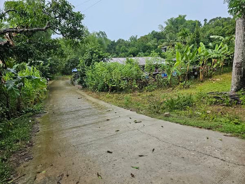 🌄 Lot for Sale 5,000 sqm  – Sirao, Cebu City, Philippines