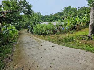 🌄 Lot for Sale 5,000 sqm  – Sirao, Cebu City, Philippines