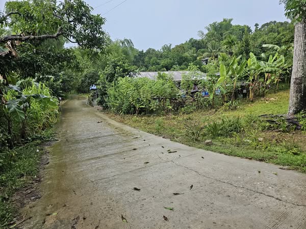 🌄 Lot for Sale 5,000 sqm  – Sirao, Cebu City, Philippines