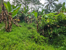 Load image into Gallery viewer, 🌄 Lot for Sale 5,000 sqm  – Sirao, Cebu City, Philippines