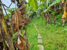Load image into Gallery viewer, 🌄 Lot for Sale 5,000 sqm  – Sirao, Cebu City, Philippines