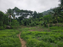 Load image into Gallery viewer, Lot for Sale – Pulang Bato, Cebu City, Philippines
