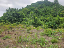 Load image into Gallery viewer, Lot for Sale – Pulang Bato, Cebu City, Philippines