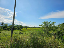 Load image into Gallery viewer, Bohol lot for sale 11,000 sqm near Highway, school and airport Ubay Bohol
