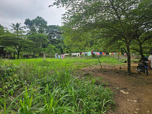 Lot for Sale – Pulang Bato, Cebu City, Philippines