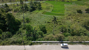 Bohol lot for sale 11,000 sqm near Highway, school and airport Ubay Bohol