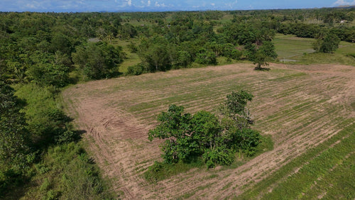FOR SALE: 5-Hectares Lot in Tuburan, Ubay, Bohol - expandable