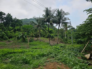 Lot for Sale – Pulang Bato, Cebu City, Philippines