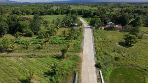 FOR SALE: 5-Hectares Lot in Tuburan, Ubay, Bohol - expandable