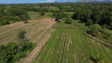 Load image into Gallery viewer, FOR SALE: 5-Hectares Lot in Tuburan, Ubay, Bohol - expandable